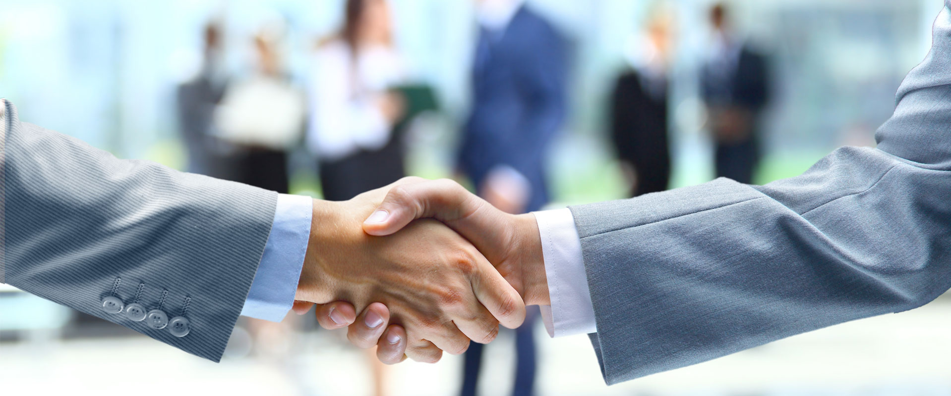 Partnerzy Partner Partners